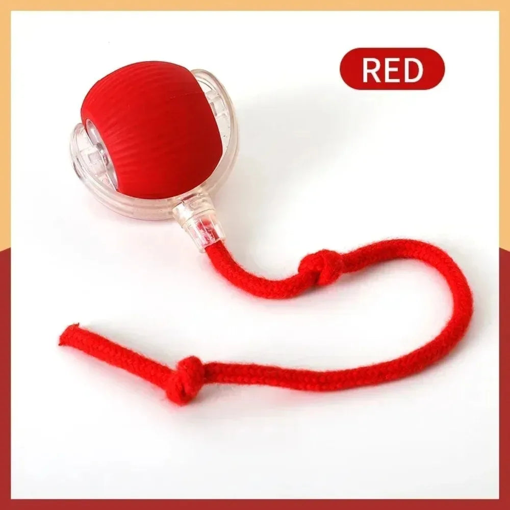  Smart Rolling Cat Toy – Rechargeable Mouse Tail Ball for Endless Pet Fun & Training