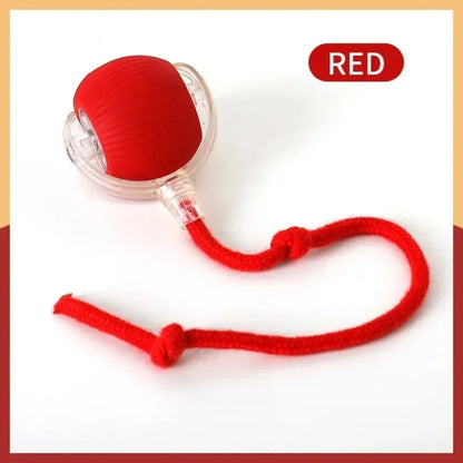  Smart Rolling Cat Toy – Rechargeable Mouse Tail Ball for Endless Pet Fun & Training