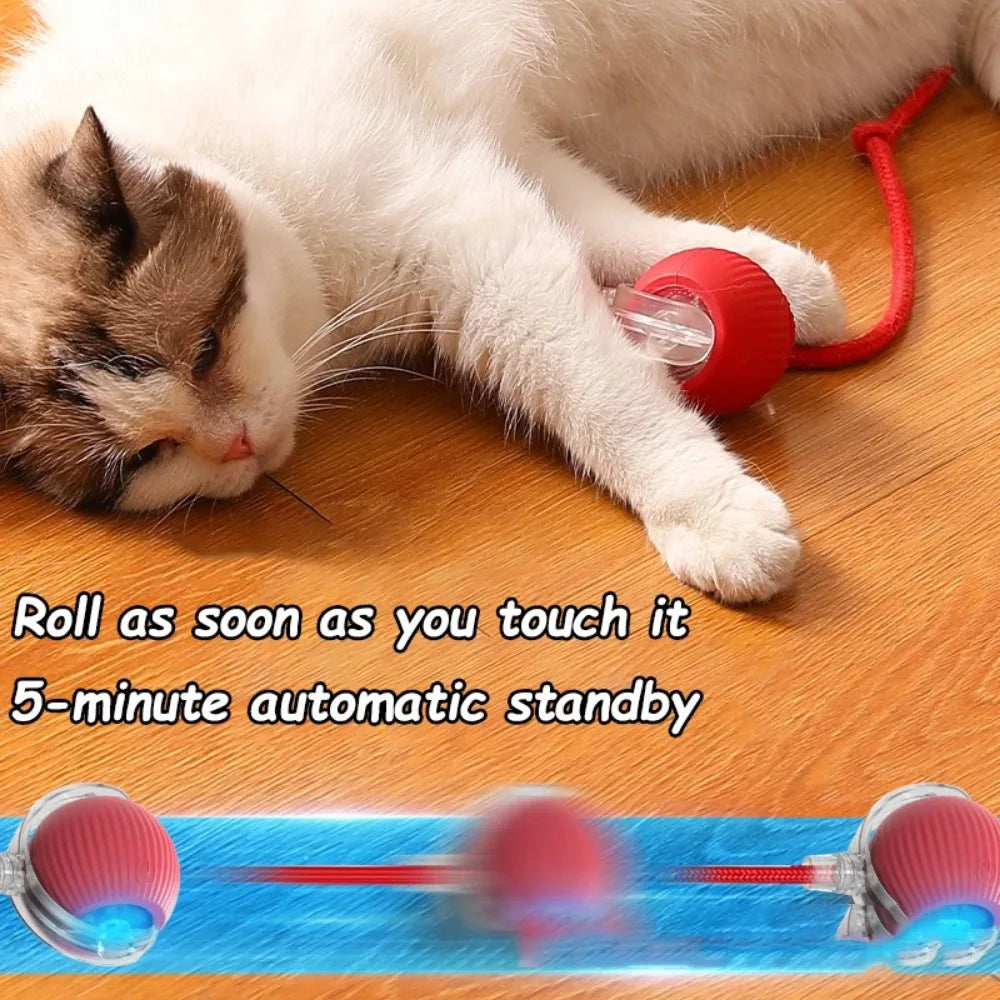  Smart Rolling Cat Toy – Rechargeable Mouse Tail Ball for Endless Pet Fun & Training