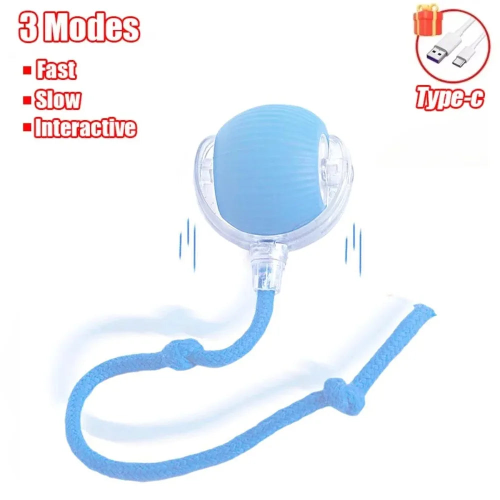  Smart Rolling Cat Toy – Rechargeable Mouse Tail Ball for Endless Pet Fun & Training
