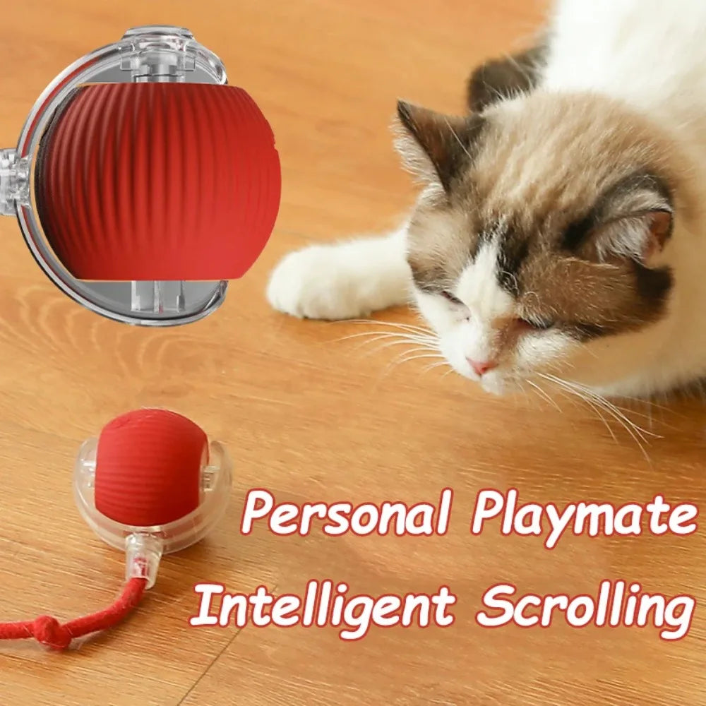  Smart Rolling Cat Toy – Rechargeable Mouse Tail Ball for Endless Pet Fun & Training
