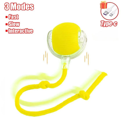  Smart Rolling Cat Toy – Rechargeable Mouse Tail Ball for Endless Pet Fun & Training